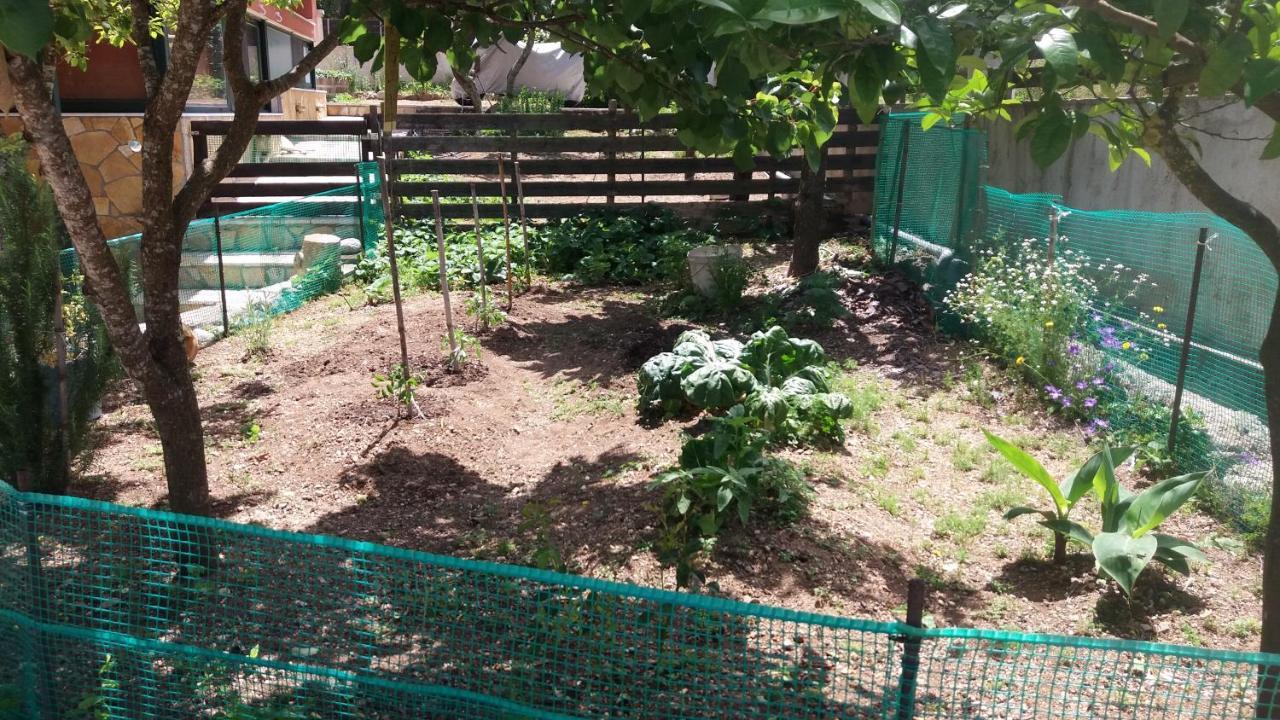 Village Life Studio Kanakádes Zewnętrze zdjęcie